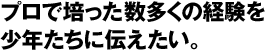 ץݤä¿ηиΥץôǯ